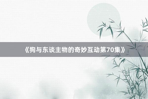 《狗与东谈主物的奇妙互动第70集》